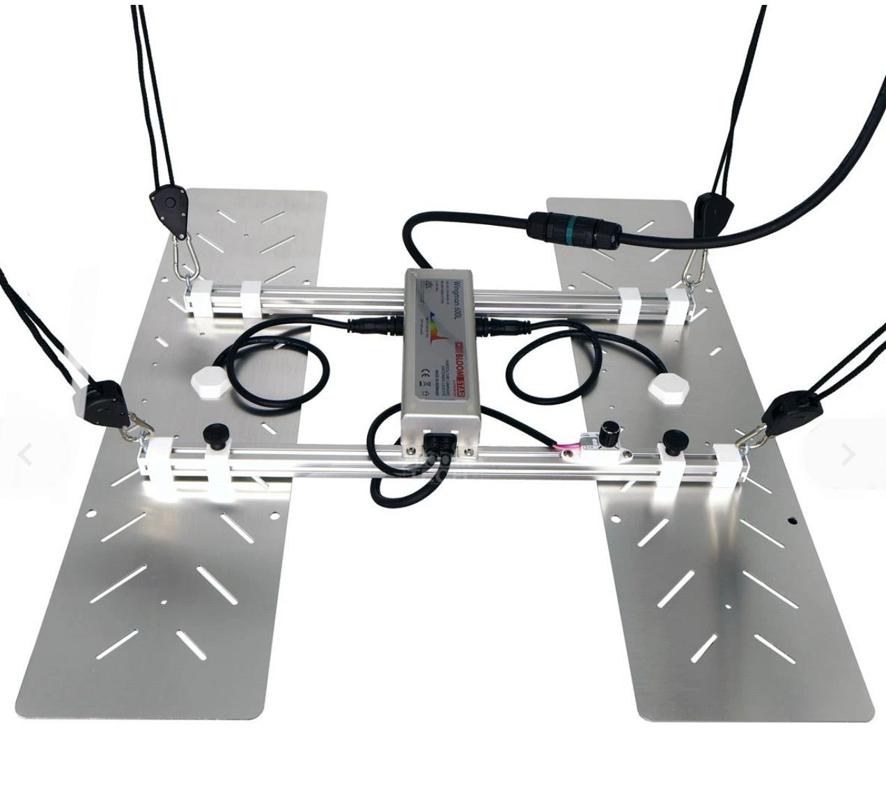 Bloomstar Wingman 600L (240 High-Efficiency LED für 80x80 & 100x100
