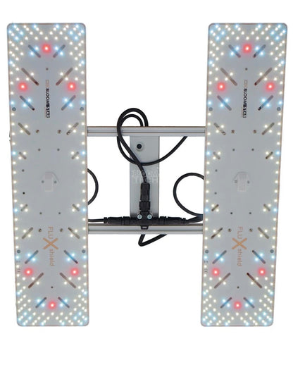 Bloomstar Wingman 600L (240 High-Efficiency LED für 80x80 & 100x100
