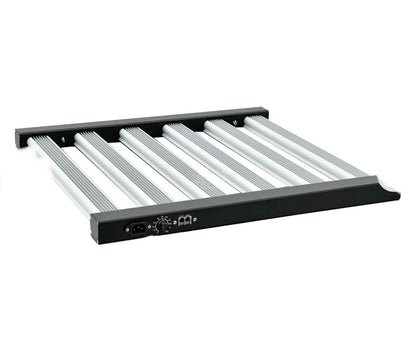 Rundum-Sorglos-Set für Einsteiger - 100x100x200 360Watt LED